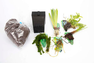 Pond Starter Packs - Pond topup Packs - Oxygenating - Compost and Pots Potted.