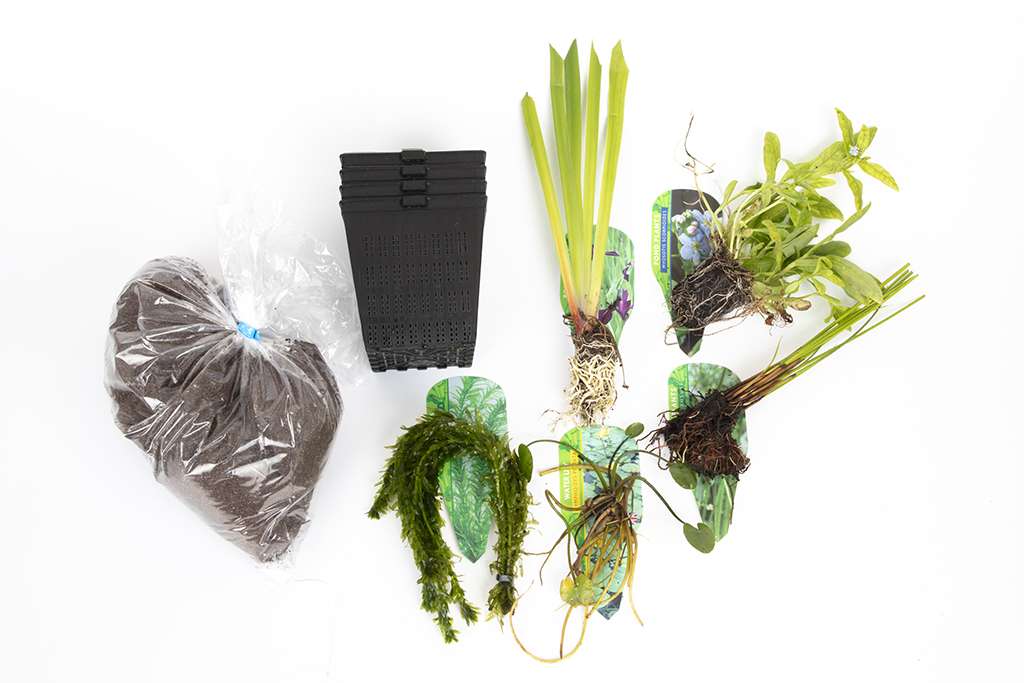 Pond Starter Packs - Pond topup Packs - Oxygenating - Compost and Pots Potted.