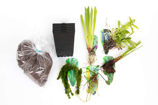Pond Starter Packs - Pond topup Packs - Oxygenating - Compost and Pots Potted.