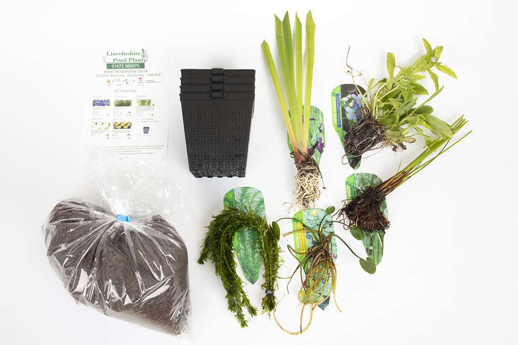 Pond Starter Packs - Pond topup Packs - Oxygenating - Compost and Pots Potted.