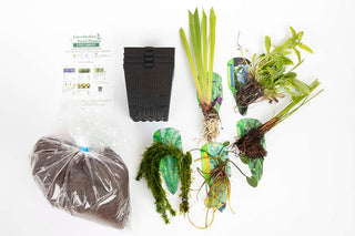 Pond Starter Packs - Pond topup Packs - Oxygenating - Compost and Pots Potted.