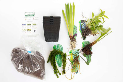 Pond Starter Packs - Pond topup Packs - Oxygenating - Compost and Pots Potted.
