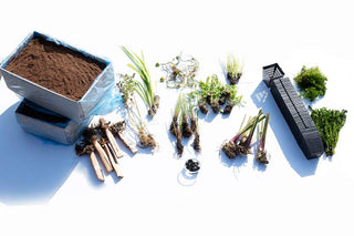Pond Starter & top up Packs - Oxygenating - Compost and Pots.