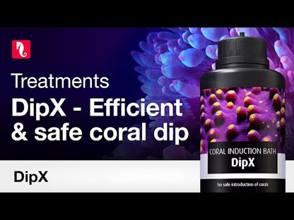 Red Sea DipX 100ml