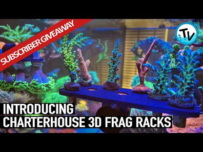 Charterhouse 3D Hex Frag Stand