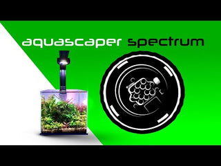 Illumagic Pixel Freshwater LED.