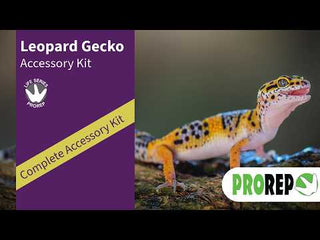ProRep Leopard Gecko Accessory Kit.