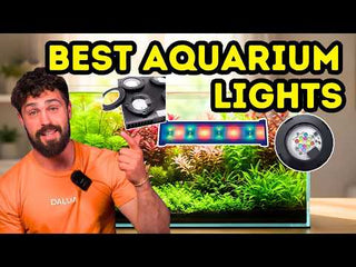 Illumagic Pixel Freshwater LED.