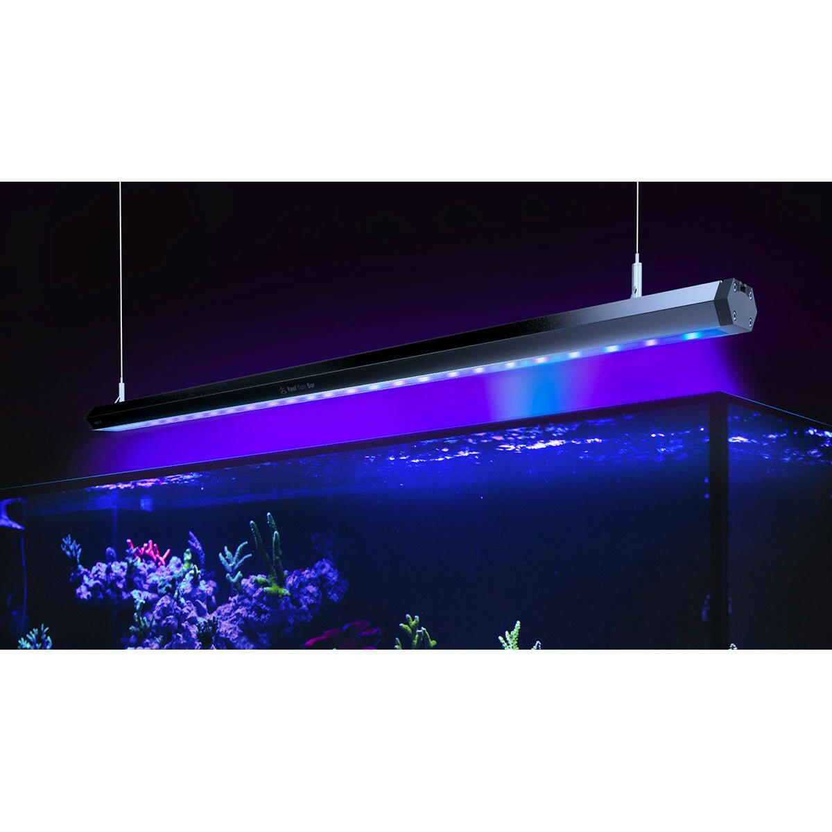 Reef Factory Reef Flare Bar 2 - L - Charterhouse Aquatics