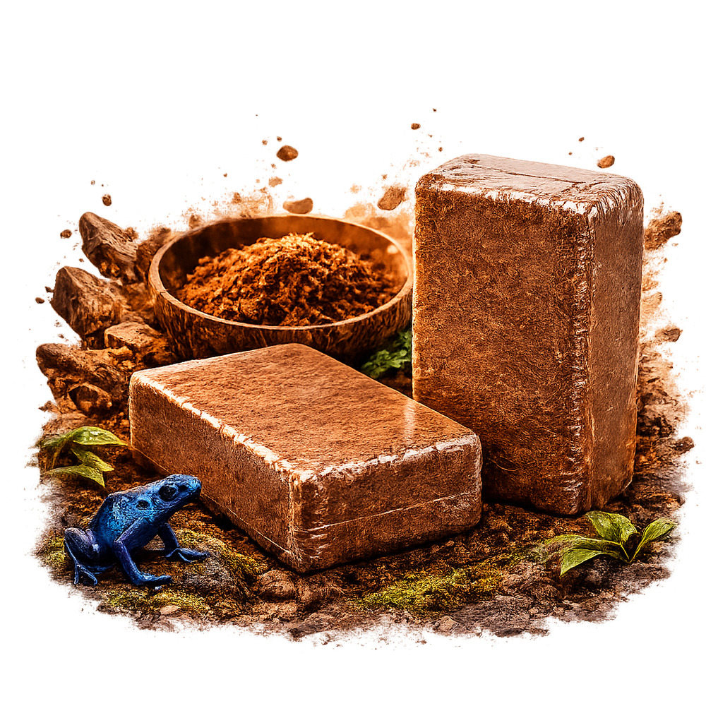 Reptile Decoration