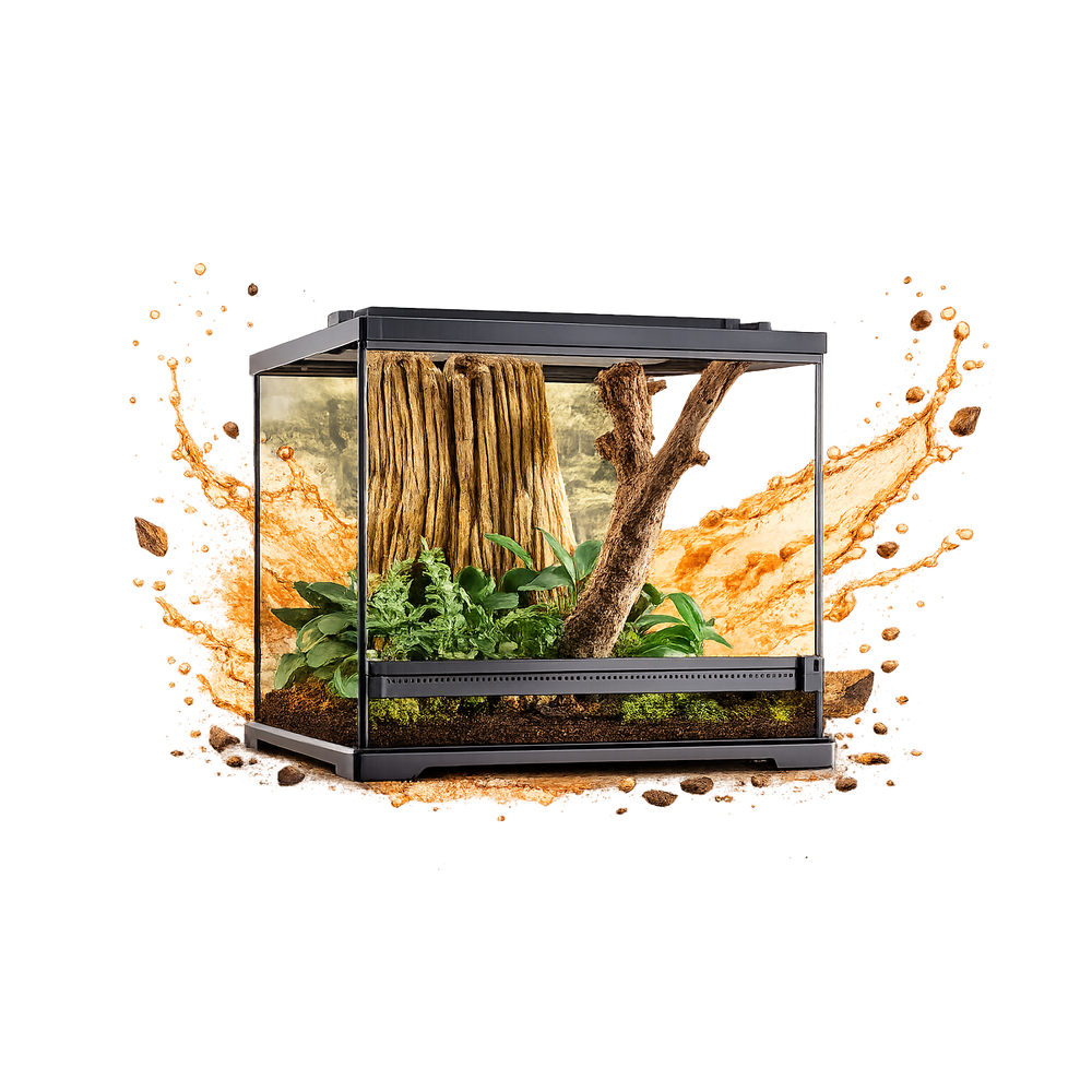Reptile Housing Explained