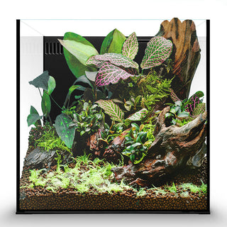 UNS Dual All-In-One 30A Cube Aquarium – 7 Gallon Rimless Tank