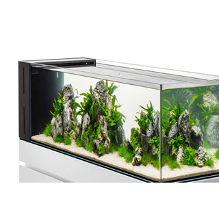 UNS Dual All-In-One 75A - 40.1 Gallon Dual AIO Rimless Aquarium.