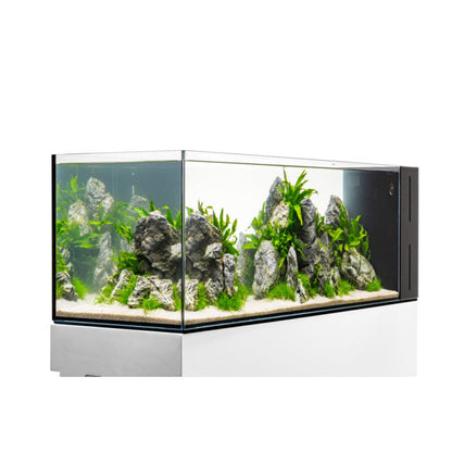 UNS Dual All-In-One 90LA Peninsula Aquarium – 21 Gallon Rimless Tank
