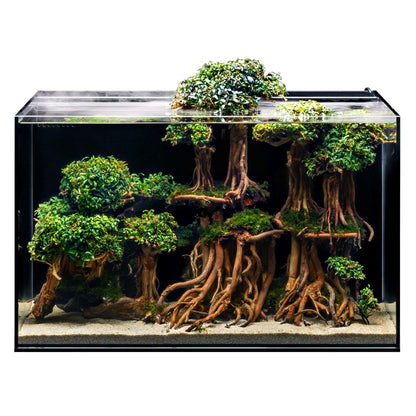 UNS Dual All-In-One 60A Aquarium – 20 Gallon Rimless Tank