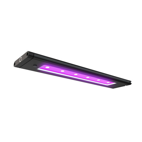 Blade Led AI Blade Coral Glow LED Light – Charterhouse Aquatics