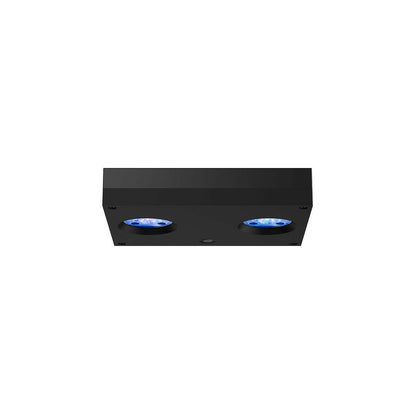 AI Hydra 32HD LED Light - Black - Charterhouse Aquatics