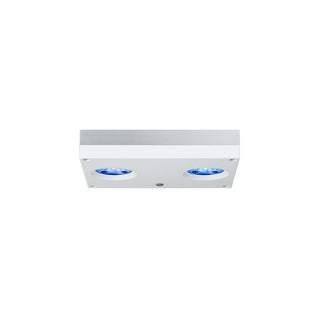 AI Hydra 32HD LED Light - White - Charterhouse Aquatics