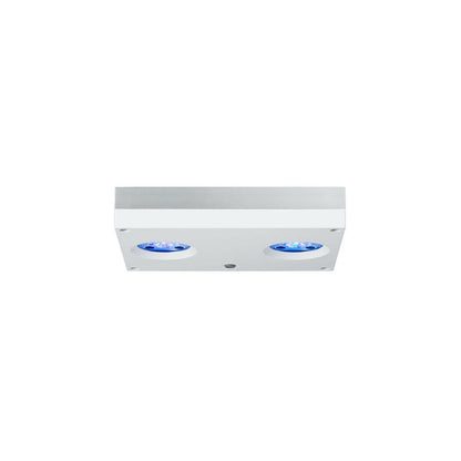 AI Hydra 32HD LED Light - White - Charterhouse Aquatics