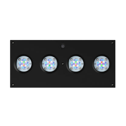 AI Hydra 64HD LED Light - Black - Charterhouse Aquatics