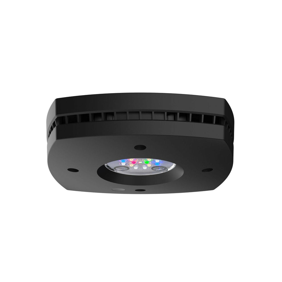 AI Prime 16HD Freshwater LED Light – Charterhouse Aquatics