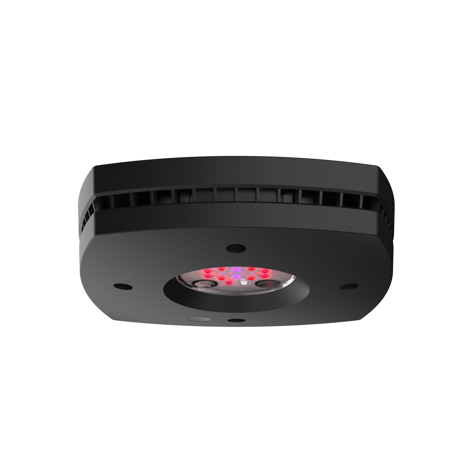 AI Prime 16HD Fuge LED Light - Black - Charterhouse Aquatics
