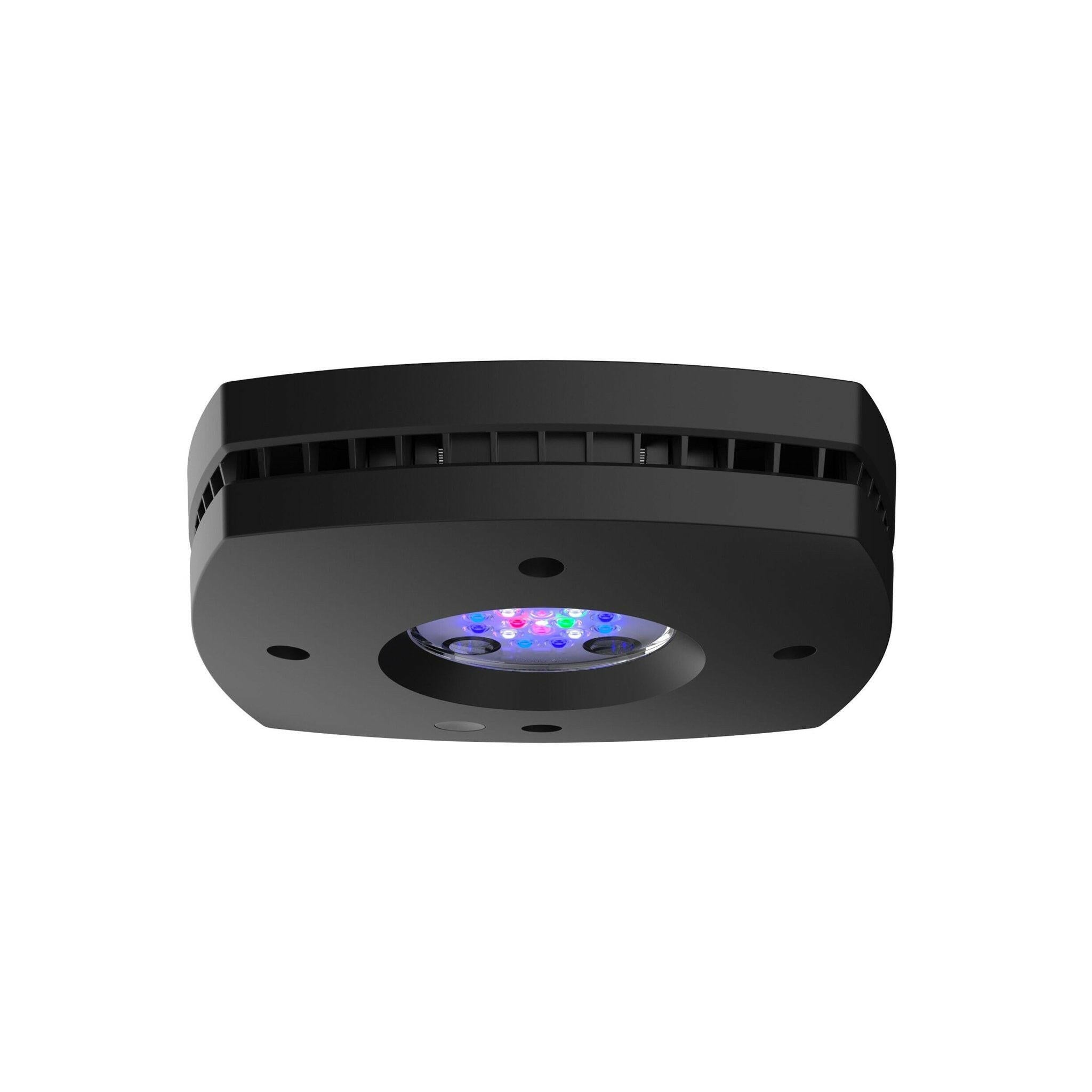 AI Prime 16HD LED Light - Black | Charterhouse Aquatics