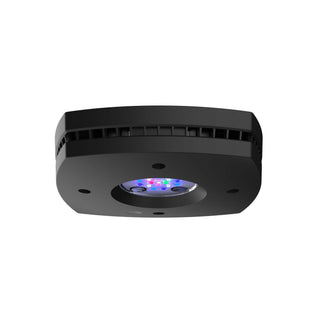 AI Prime 16HD LED Light - Black - Charterhouse Aquatics