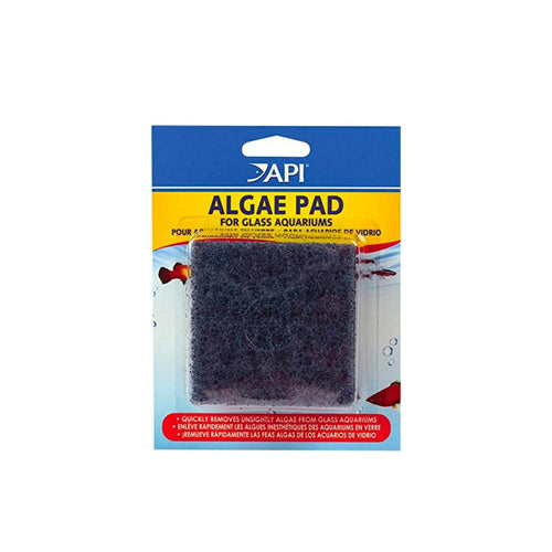 API Algae Pad for Glass Aquariums - Charterhouse Aquatics