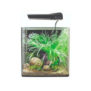 Aqua One AquaNano 30 Aquarium - Charterhouse Aquatics
