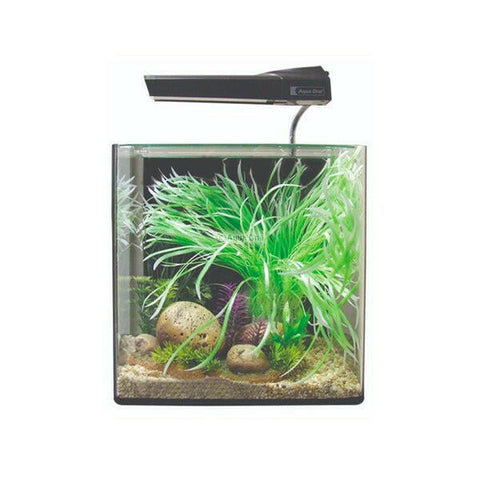 Aqua One AquaNano 30 Aquarium - Charterhouse Aquatics