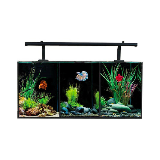 Aqua One Betta Trio Aquarium - Charterhouse Aquatics