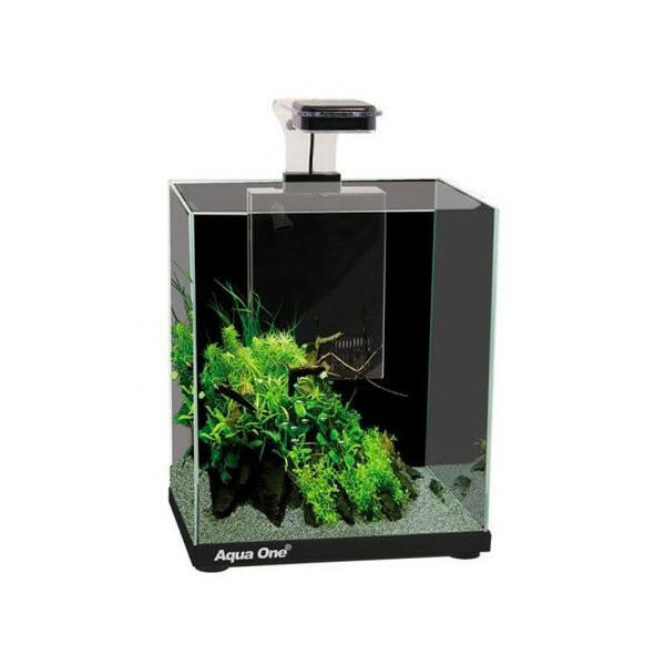 Aqua One Focus 23 Aquarium - Charterhouse Aquatics