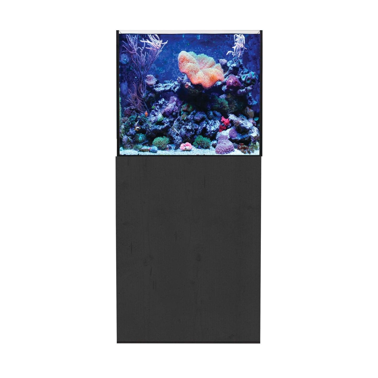 Aqua One ReefSys 180 Aquarium and Cabinet - Black - Charterhouse Aquatics