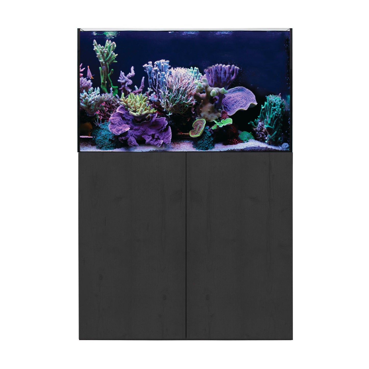Aqua One ReefSys 255 Aquarium and Cabinet - Black - Charterhouse Aquatics