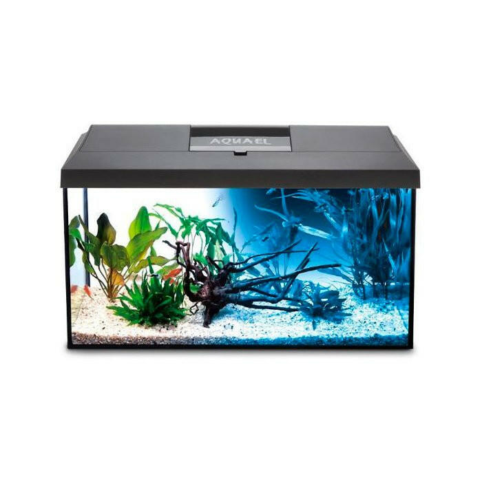 Aquael Leddy 40 Day and Night Aquarium - Black - Charterhouse Aquatics