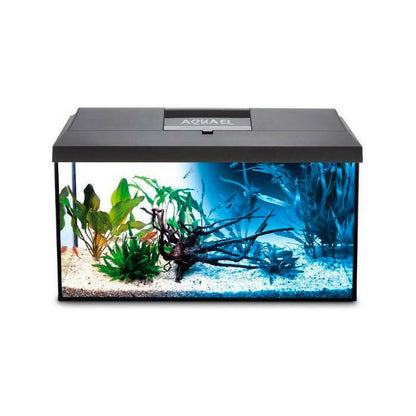 Aquael Leddy 40 Day and Night Aquarium - Black - Charterhouse Aquatics