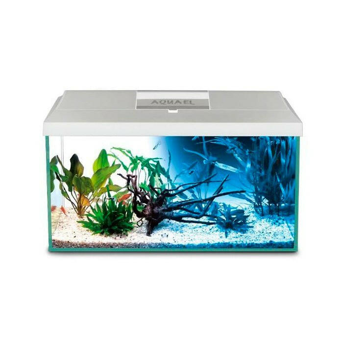 Aquael Leddy 60 Day and Night Aquarium - White | Charterhouse Aquatics