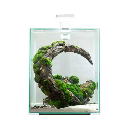 Aquael Shrimp Set Day and Night 10L - White - Charterhouse Aquatics