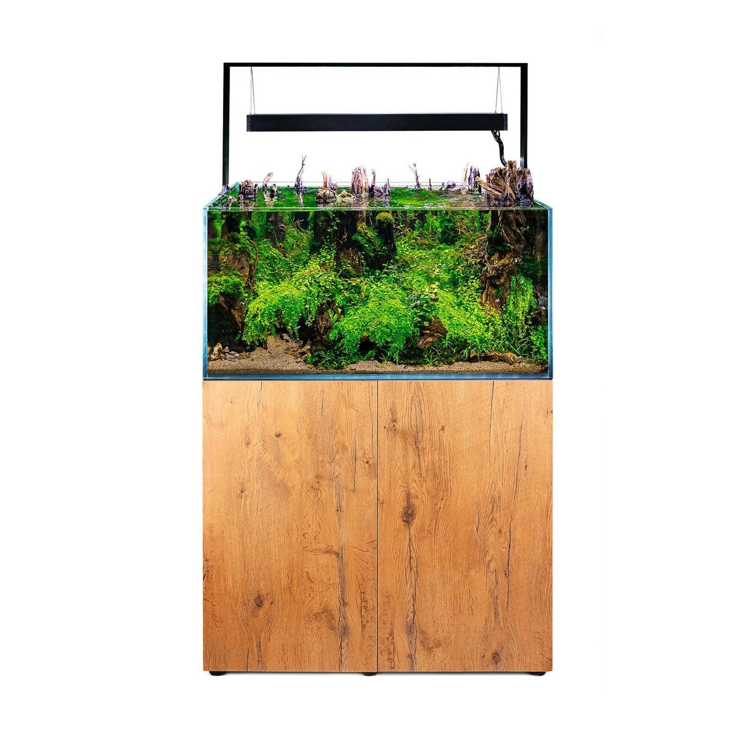 Aquael Ultrascape 90 Aquarium and Cabinet Set - Forest - Charterhouse Aquatics