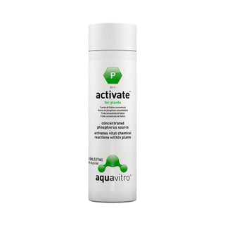 Aquavitro Activate 150ml - Charterhouse Aquatics