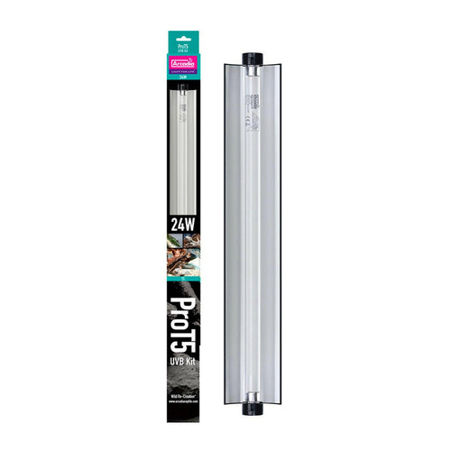 Arcadia ProT5 UVB Kit - Desert 12 Percent - 24w - Charterhouse Aquatics