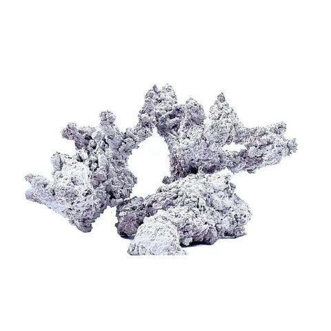 Art Reef Rock (M) - Charterhouse Aquatics