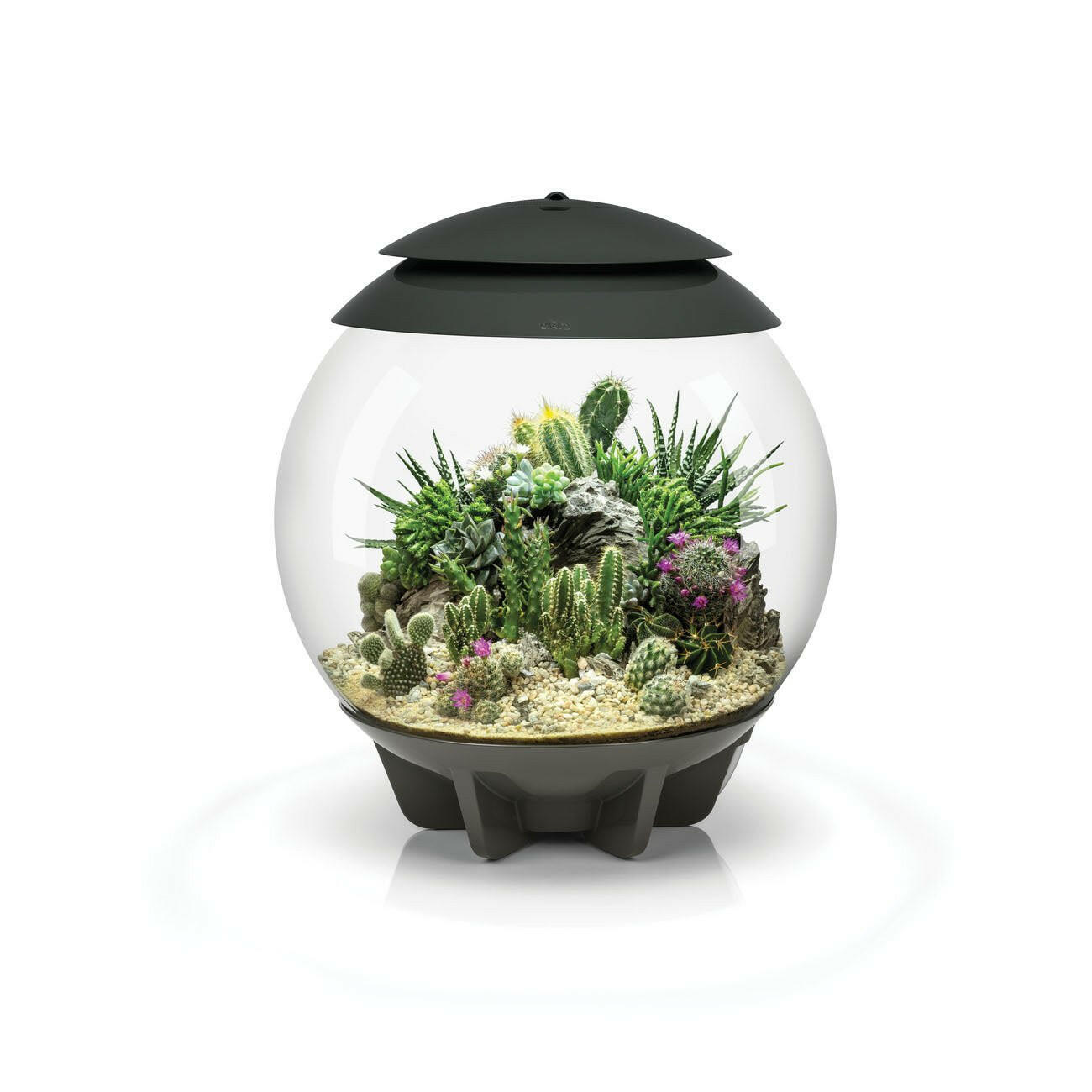 biOrb AIR 30 - Grey - Charterhouse Aquatics