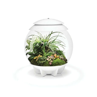 biOrb AIR 30 - White - Charterhouse Aquatics