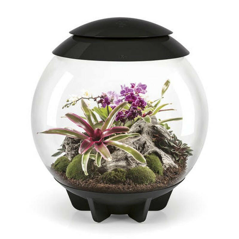 BiOrb Air 60 (Black) - Charterhouse Aquatics