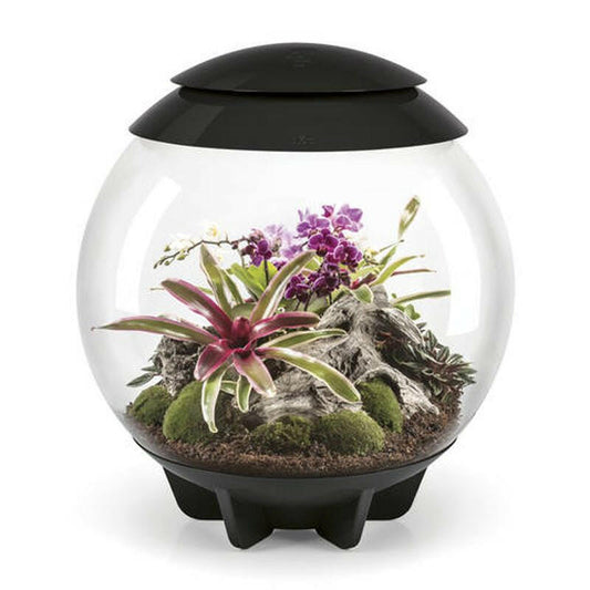 BiOrb Air 60 (Black) - Charterhouse Aquatics