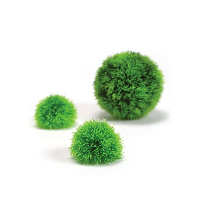 BiOrb Aquatic Topiary Pack - Charterhouse Aquatics