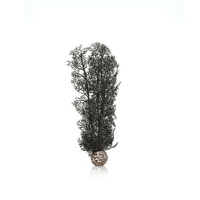 BiOrb Black Sea Fan - Medium - Charterhouse Aquatics