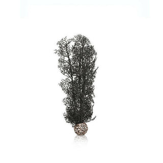 BiOrb Black Sea Fan - Medium - Charterhouse Aquatics